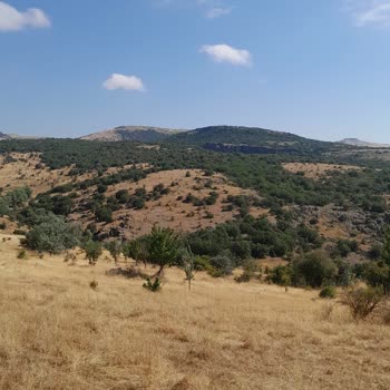 Nadu Maden İşletmesi Mahallemizde Ciddi Çevresel ve Güvenlik Sorunları Yaşamaktayız