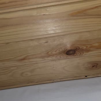 Tree Home Böcekli Bungalov Ve Eksik İade