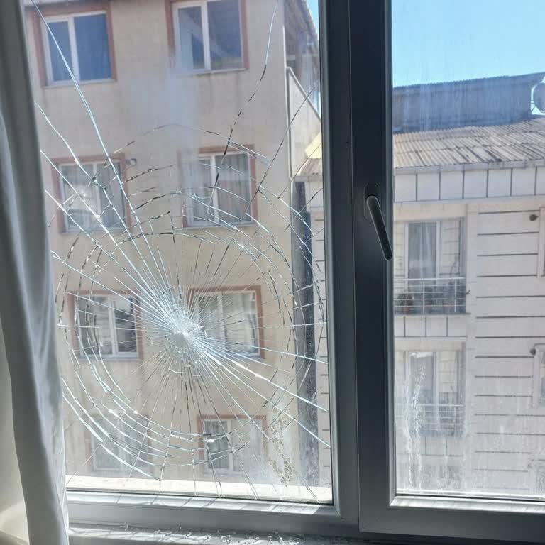 Allianz Poliçemden Cam Kırılması Ve Rutubet Hasarı Talebimin Red Edilmesi Ve Destek Bulamama