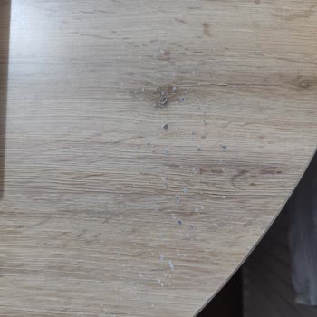 Bellona Bohem Masa Takımında Çizikler Ve Aşınma, Garanti Değişimi İsteniyor