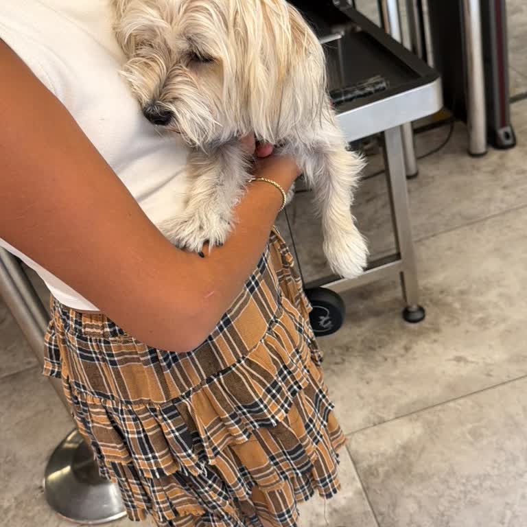 Sur Yapı Marka AVM’de Güvenlik Görevlisinin Kaba Köpek Girişi Reddi