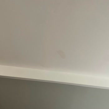 Beylikdüzü Gardan Otel'de Hijyen Şikayeti Ve İade Talebi