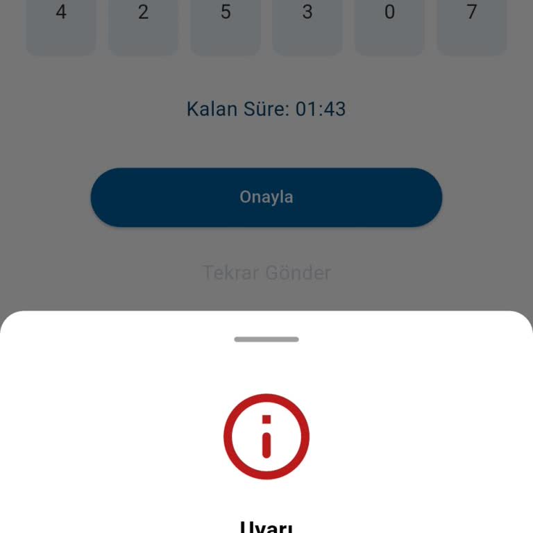 Fair Finans Mobil Uygulamasında Limit Sorgulama Hatası #3009 Ve Çözüm Talebi