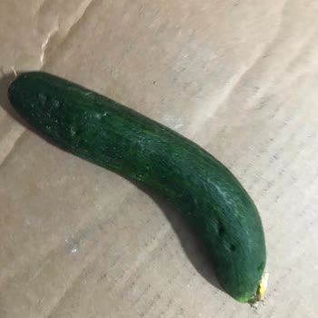 Garanti Kapsamındaki Buzdolabında Gıdalar Hızla Bozuluyor, Servis Çözüm Sunamıyor