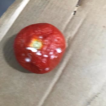 Garanti Kapsamındaki Buzdolabında Gıdalar Hızla Bozuluyor, Servis Çözüm Sunamıyor