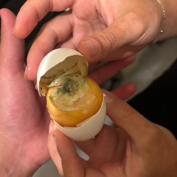 Şok Markette Anadolu Çiftliği Yumurta Küflü Çıktı, Sağlık Riski Ve İade Talebi