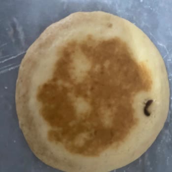 Pastat Tatlı Pancake Puffy'den Çıkan Yabancı Madde