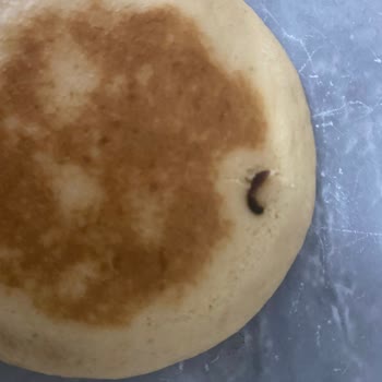 Pastat Tatlı Pancake Puffy'den Çıkan Yabancı Madde