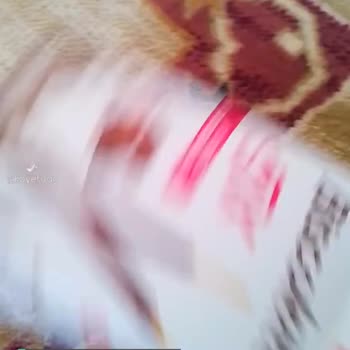 Biscolata Özür Paketi Bekliyorum