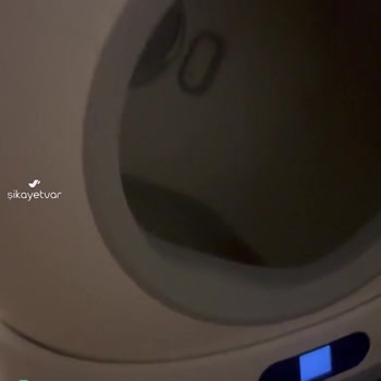 Xenon Smart Akıllı Kameralı Kedi Tuvaleti Pişmanlığı