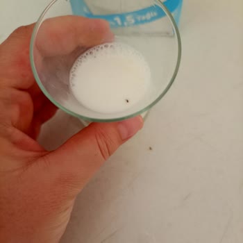 İçim 1 Litre Yarım Yağlı Sütte Böcek: Hijyen Sorunu Ve Marka Güveni Zedelenmesi