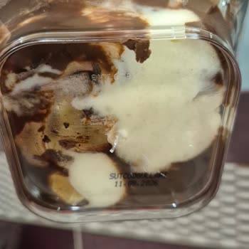 Satılan Profiterol Ve Kadayıflı Muhallebide Bozulma Ve Sağlık Riski