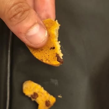 Bisküviden Gelen Uzun Beyaz Kıl Ve Çocuk Sağlığı Endişesi