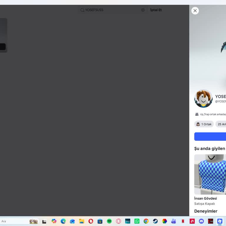 Roblox Hesabımın Çalınması Ve Otomatik Destek Sisteminin Yetersizliği