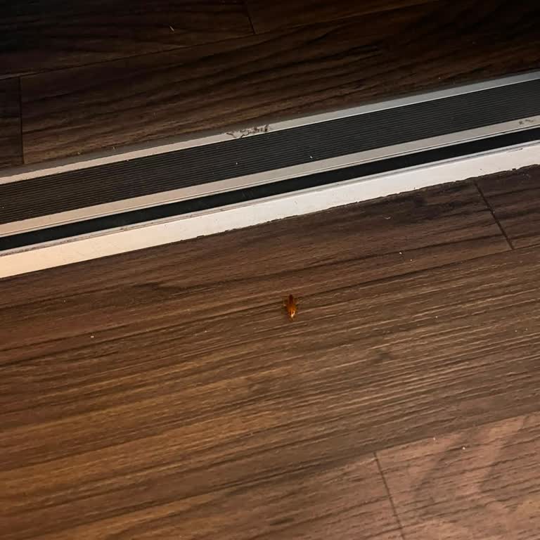 Böceklerle Dolu Ve Hijyenik Olmayan Otobüs İçin Ücret İadesi Talebi