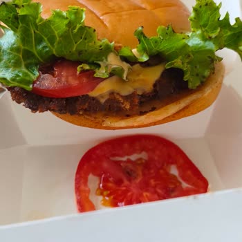 Insectos en comida de Shake Shack, solicito reenvío e inspección