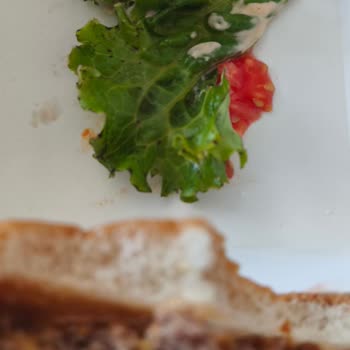 Insectos en comida de Shake Shack, solicito reenvío e inspección