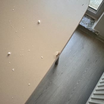 Defolu Masa Üstü Değişimi Gecikti Ve Şube Personeli İlgisiz