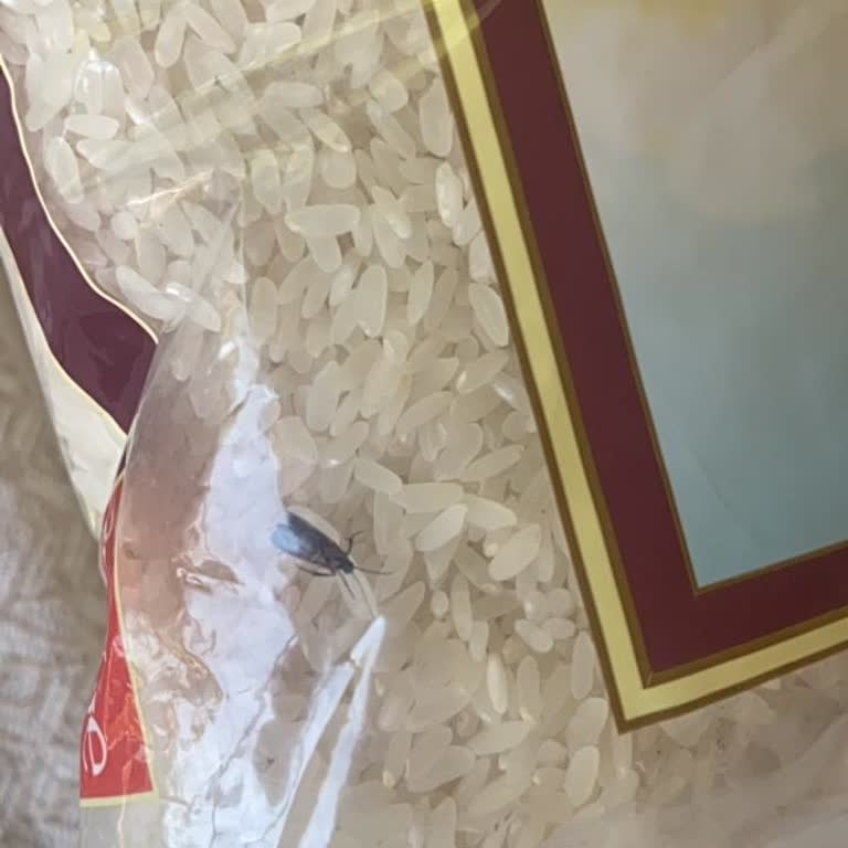 Böceklenmiş Pirinç Paketi İçin Değişim Ve İnceleme Talebi