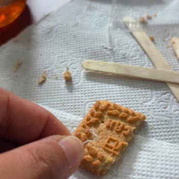 Eti Burçak Klasik Bisküviden Gelen Yabancı İp Ve Hijyen Sorunu