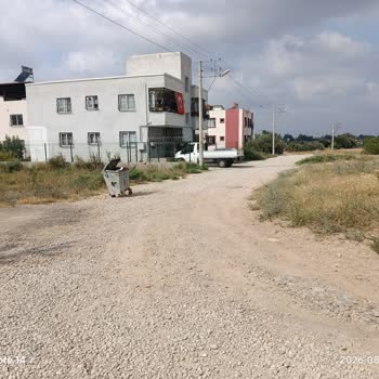 Adana Sarıçam Belediyesi Gültepe Mahallesi 573. Sokak Yolunun Asfaltlanmaması