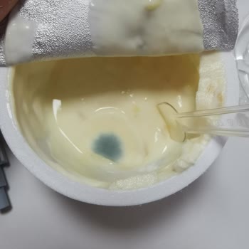 Son Tüketim Tarihi Geçmemiş Yoğurtta Küf: Sağlık Ve Hijyen Endişesi