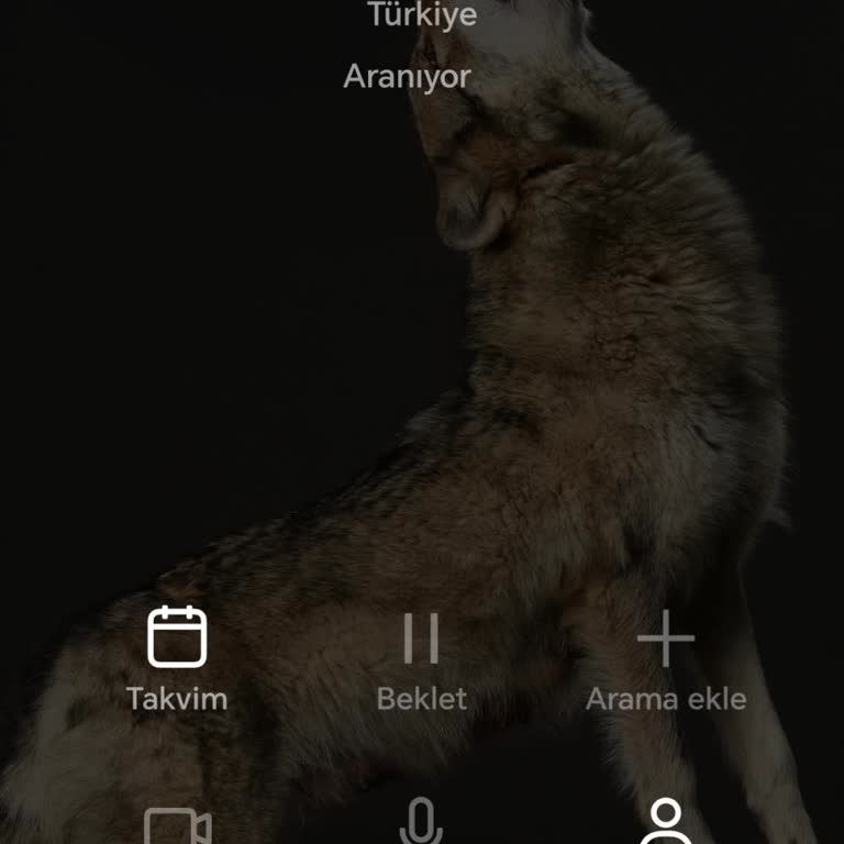 Hepsiburada Üzerinden Alınan Hiking Türkiye Telefon Servisine Ulaşamama Mağduriyeti