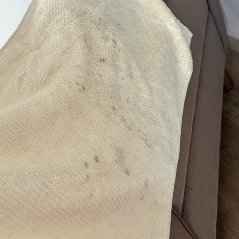 Baş Havlusunda Siyah Lekeler Ve Uzun Çözüm Süreci