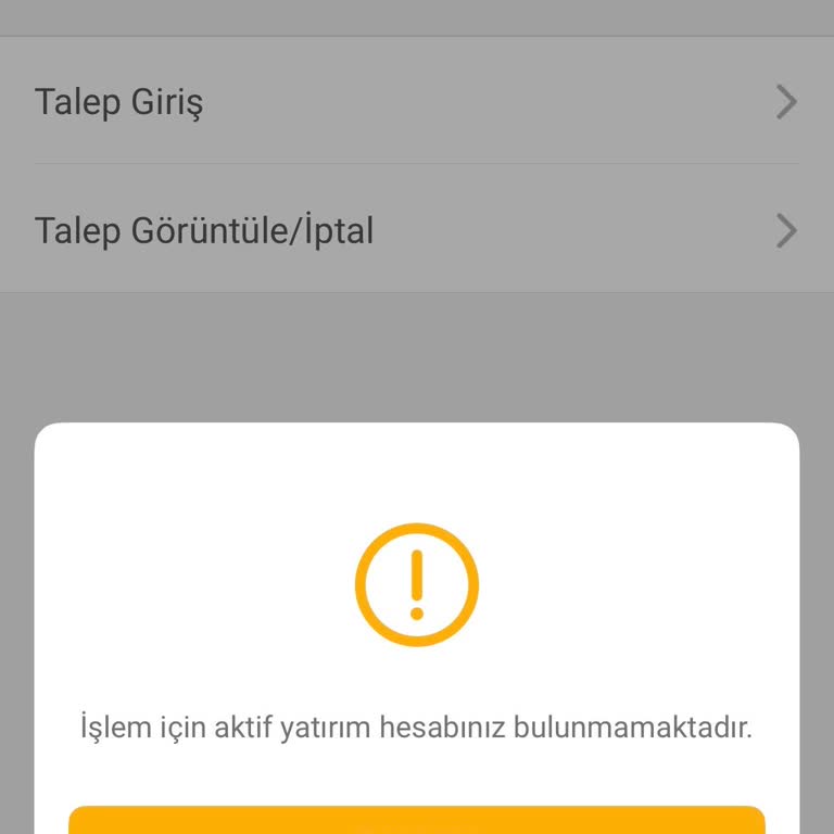 Halka Arz İşleminde Aktif Yatırım Hesabı Bulunamadı Hatası Ve Müşteri Hizmetlerine Ulaşılamama