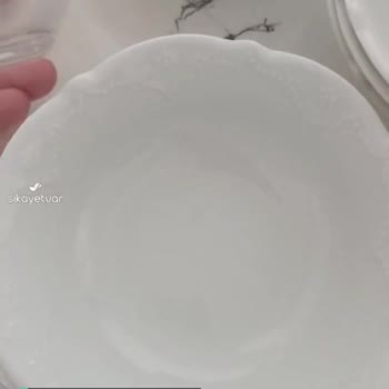Samsung Bulaşık Makinesi Pis Ve Kireçli Çıkarma
