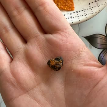 Cipste Görülen Yabancı Parçalar Hijyen Endişesi Yaratıyor