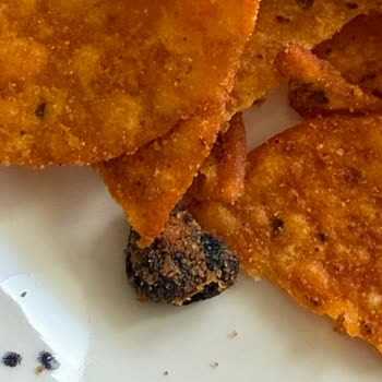 Cipste Görülen Yabancı Parçalar Hijyen Endişesi Yaratıyor