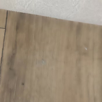 Fun & Sun Smart Hane Sun Tatile Değil, Temizlik Yapmaya Gelmişiz Gibi Hissettik