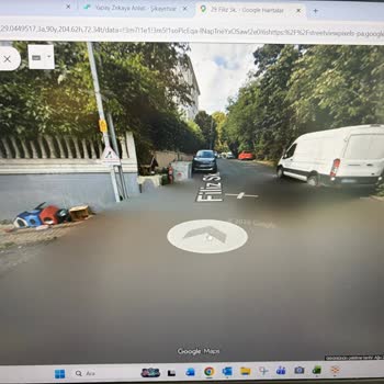 Sarıyer Ferah Evler’de Hız Kesici Tümsek İhtiyacı Çocuk Ve Hayvanlar Tehlikede