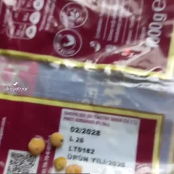 Duru Mercimek Böcekli Çıktı