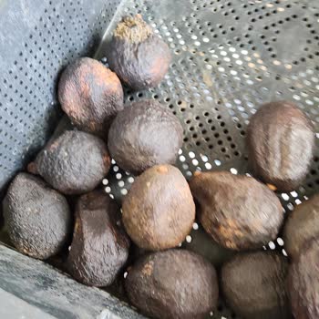 Carrefour Mini Mağazasında Bozulmuş Meyve Ve Sebzeler, Yanıltıcı Çalışan Tutumu