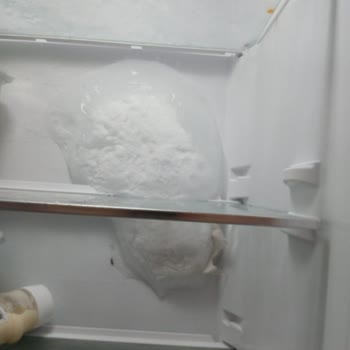 Teka Ankastre No-Frost Buzdolabında Yoğun Buzlanma Ve Garanti Kapsamında Değişim İsteği