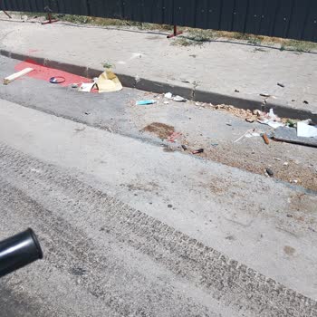 Konteyner Çöp Kokusundan Kaynaklanan Sürekli Kirlilik Siteyi Rahatsız Ediyor