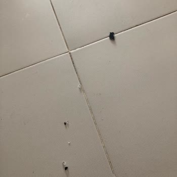 PTT Kargo’nun Teslim Ettiği Midi Fırının Kırılması Ve Sorumluluk Reddi