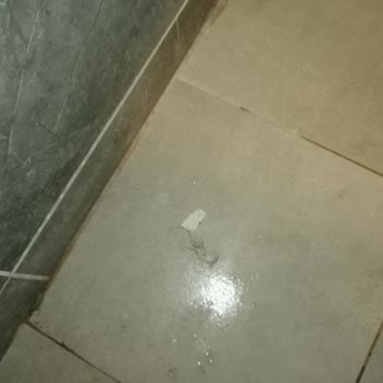 Bekleme Süresi, Kirli Oda Ve Kötü Hizmet: Ayvalık Tabiat Park Hotel'de Yaşanan Mağduriyet