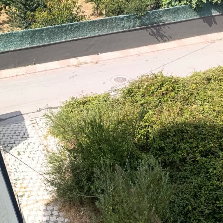Kırık Kablo Nedeniyle Uzun Süreli İnternet Kesintisi Ve Haksız Faturalar