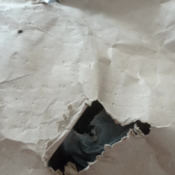 Mango Siparişimde Hasarlı Ceket Ve Kargo Teslimat Problemi