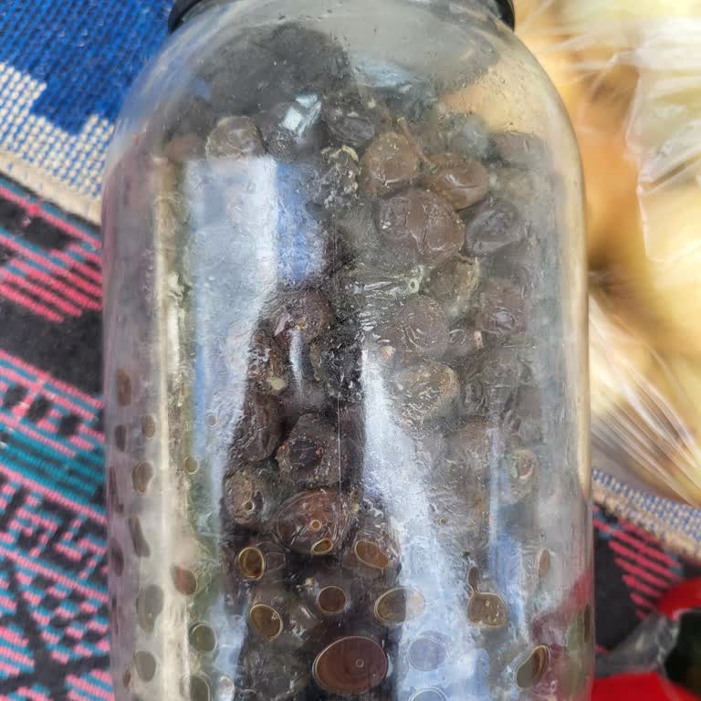 Ağrı A101'de Küflü Zeytin Satışı Sağlık Tehlikesi