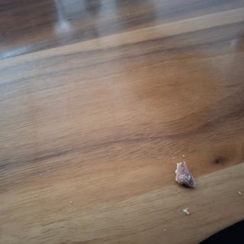 BİM Tombik Nugget İçinden Kemik Çıkması
