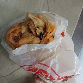 Dönerde Ölü Böcek Bulunması Hijyen İhlali Ve Sağlık Tehdidi