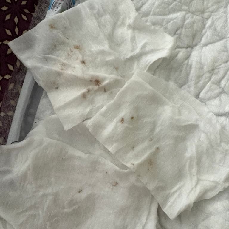 Kahverengi Lekeli Bebek Pamukları İçin Yeni Ürün Ve Kalite Kontrol Talebi
