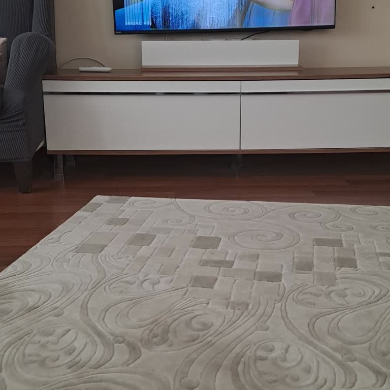 Tekrarlayan Ekran Arızası Ve Müşteri Hizmetlerine Ulaşılamaması Nedeniyle Ücret İadesi Talebi