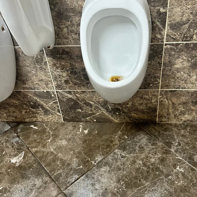 Balçalı Hastanesinde Tuvalet Hijyeninin Acilen Sağlanması