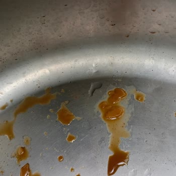 Obsesso Latte’te Tortu Sorunu Ve Üretici Desteği Yok