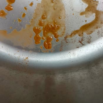 Obsesso Latte’te Tortu Sorunu Ve Üretici Desteği Yok